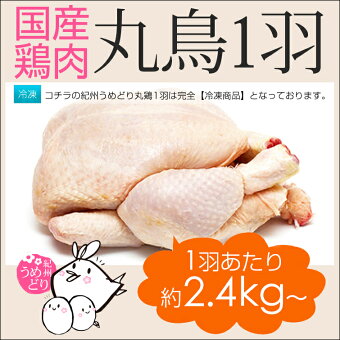 紀州うめどり中抜き大サイズ
