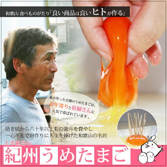 うめどりうめたまご30玉入り