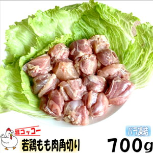 y  zo  Jbg { 700g×3 |RbR[ ܂  ٓ Z  wV[ Ⓚ  Ɩp  K   Ƃ 