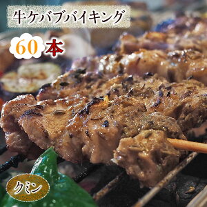 y  z  oCLO N~ Pou 60{Zbg 蕨  Mtg BBQ Ă o[xL[ ē ܂ Ē ƈ   `h