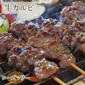  Jr VXR [Y}[ 5{ BBQ Ă o[xL[ ē ~ ܂ Ē ƈ   Mtg 蕨  `h