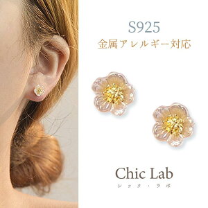 PT7{yg15OFFN[|zIׂ镟ܑΏہsAX AM[Ή S925  zCg  t[  ꂢ i ~jsAX ig Ci  Vv ɂ