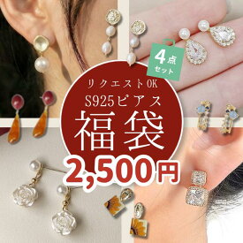 ＼PT5倍／★先着5名様限定★2026年限定価格★＼中身は5,000円相当／【中身が見える ピアス福袋】2026 韓国 早い者勝ち ピアス イヤリング 福袋 2026 アクセサリー 金アレ対応 金属アレルギー S925 アウトレット 女性 夏 春 秋 冬 リング お得 売れ残り