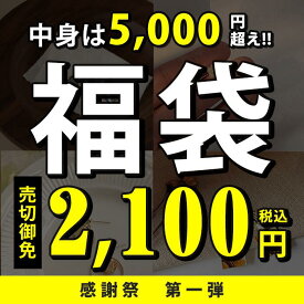 PT10倍●5日限定スーパーSALE限定価格★＼中身は5,000円相当／先着10名様【中身が見える ピアス福袋】2026 韓国 早い者勝ち ピアス イヤリング 福袋 2026 アクセサリー 金アレ対応 金属アレルギー S925 アウトレット 女性 夏 春 秋 冬 リング お得 売れ残り セール 2025