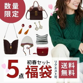 PT5倍中★【5点セット福袋】秋 売れ残り 福袋 SALE●リクエストOK！先行 福袋 2025 2026 秋 冬 ネタバレ セット レディース 訳アリ 訳あり 3000円 アクセサリー 帽子 バッグ ショルダーバッグ 髪飾り ピアス S925 プレゼント セール