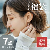 PT5倍中【送料無料●2026年福袋 ピアス7点 買い回り お買い得】先行 予約 レディース アクセサリー ピア…