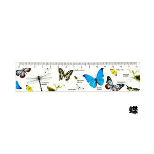 { ANKy  zy  z ~bNX XP[  b   傤 Jug J}L g{ NK^ pvALC AgX@Mt@ wNX V L L