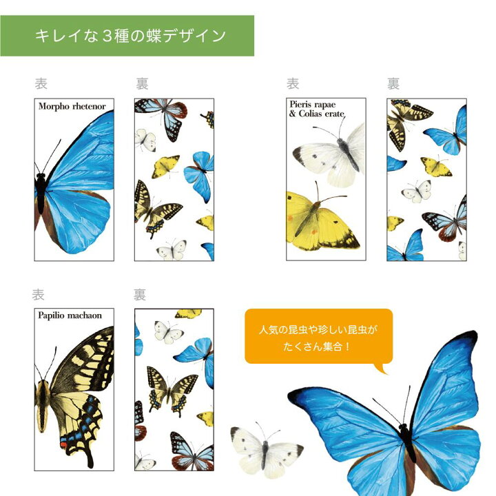楽天市場】消しゴム 3点 【 昆虫 / 蝶 】 ミックス柄 けしごむ 甲虫  