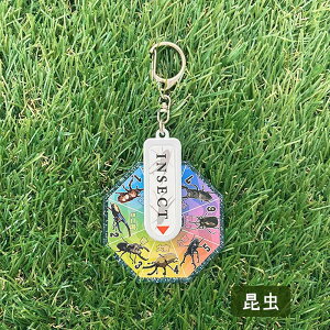 ���[���b�g�@�L�[�z���_�[�i���� / ���� ���Ԃƒ����� ) ���傤��イ �e�B���m �g���P�� �X�e�S �J�u�g �N���K�^ �b�� �� �`���E �Ă�Ƃ��� �� ���邭�� �q�� �L�b�Y �j�̎q ���̎q �s���N 