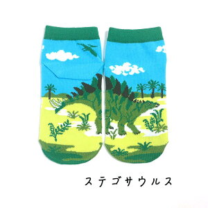 C  LbY ( eBmTEX / gPgvX / XeSTEX ) 18cm 19cm 20cm 21cm qp  ObY G Jt    ubN O[ bh  Ԃ \bNX 