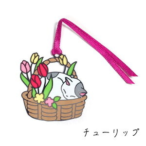 XehOX  ubN}[J[ _CJbg y L zq ubN}[J[   XehOX 6cm 10cm   Vo[ KN L L OєL ObY G ˂   