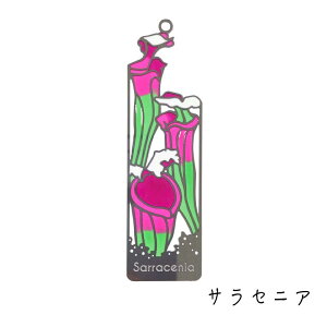 XehOX  ubN}[J[ y HA z   Vo[  Ǐ ObY G x  nGgOT TZjA Ec{JY nGg\E y q z