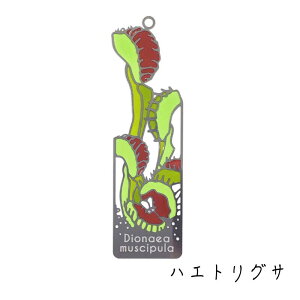 XehOX  ubN}[J[ y HA z   Vo[  Ǐ ObY G x  nGgOT TZjA Ec{JY nGg\E y q z