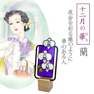 XehOX  ubN}[J[ Nbv y ؔl z/ 12̉ G   ߂  ʉ KN o l ~    ؂₩  y q z