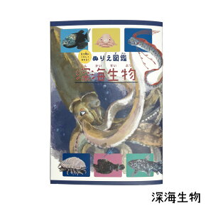 ぬりえ 図鑑 ( 海 の 動物 / 海の 危険生物 / 深海生物 )水族館 知育 玩具 どうぶつ 学べる 学習 思い出 絵本 塗り絵 楽しい 生き物 誕生日 プレゼント【 智光 】