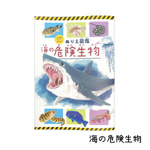 ʂ肦 } i C   / C 댯 / [C j m ߋ ǂԂ wׂ wK vo G{ hG y  a v[gy q z