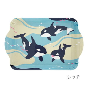 g[ sea of wonder ( NQ / JE\ / yM / [C / V` ) V[Iu_[ ~  y v H C  킢   ObY G ANZT[ g[ 