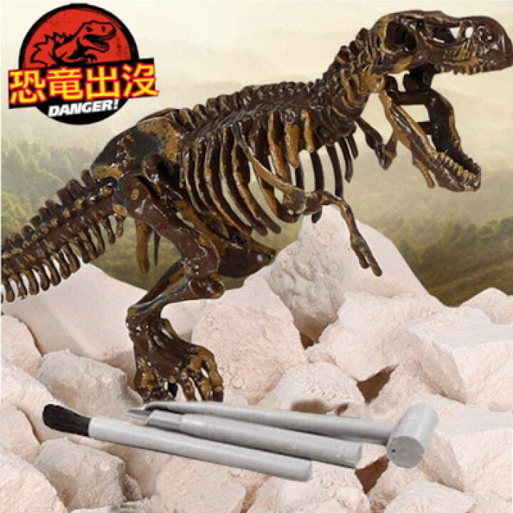 楽天市場 恐竜化石発掘 おもちゃ 発掘キット 恐竜の骨 T Rex ファインドショップ