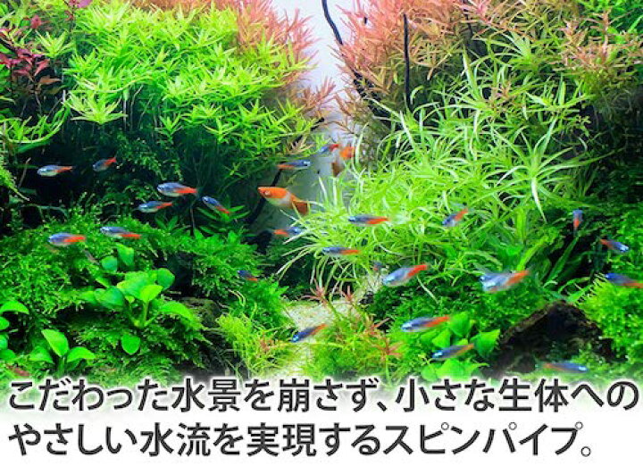 お得 Redberyl 水槽 スピンパイプ セット リング型 ガラスパイプ スピン J型パイプ 16 22 Topdental Com Ar