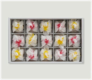 花千鳥 箱15個入り