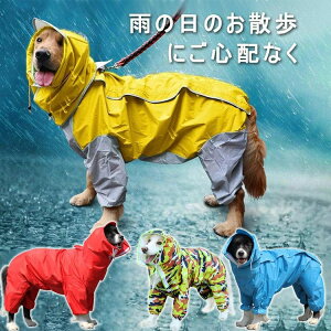 ���i�摜
