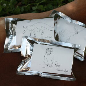 yForester'sCafez3×1pac(6tjZbgilR|X\jX̏ZlBA蓤AAR[q[AnhhbvALv