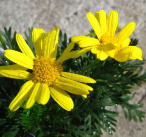 IvXf[W[@{r[@Ηt@3c(c04)