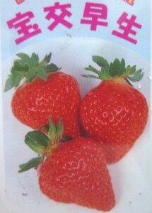 y2Zbgzc@𑁐iق킹j3|bgc