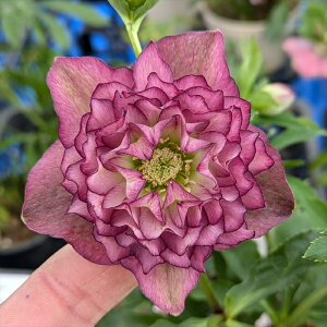 yizNX}X[Y @ك_u炫@bhn@o[Vu/oCJ[@5@ 2272rbyBeF25N1111z