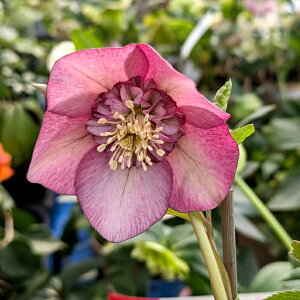 yizNX}X[Y @Z~_u炫@sN/bhn@6ZA[gA@A315rryBeF25N1111A25N326z