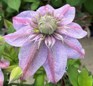 N}`X@ʂ̗di~imEZCj3.5cic05j