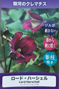 yizN}`X@[hEn[VF@4.5c(i10)