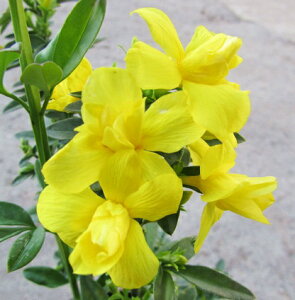 EiIEoCi_쉩~j5@c؁iz00)