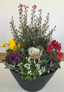 yƎނőIԁzMEoCƃn{^̓~̋G߂̊񂹐A@@ZA[gA