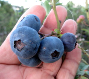 u[x[ u[V[ c؁@5.5yrbgACnz