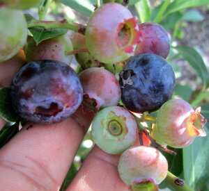 u[x[ `h[@@c؁@5ym[UnCubVnz