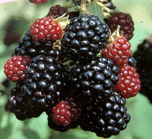 ubNx[@\[t[@5gXdĕc(e01)