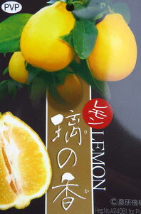 ̖؁iEGj@̍imJj@c؁@5O|bgA