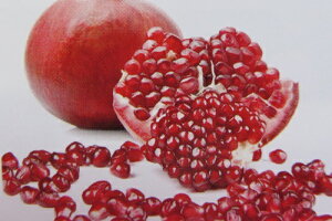 ўցij@ؐΞ։(`EJUNIE)@c؁@5