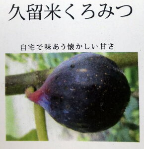 C`WN@vĂ݂@4.5c(e03)