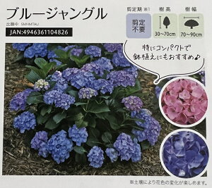 アジサイ 青 生花の人気商品 通販 価格比較 価格 Com