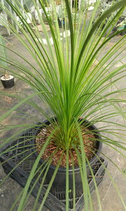 yizOXc[@etH[A@12AyYz