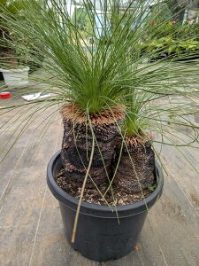 yizOXc[@W\j[@ubN{[C@2wbh@10AyYz