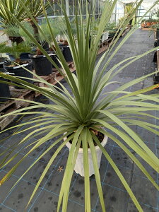 yizmiqfjJ@10A@H90cmyYz