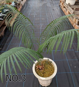 yIׂ錻izTCJX@^CVo[i^CYt\ecj@c؁@8AyYz