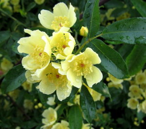 bREo@d@4cyI[h[Yz(k06)