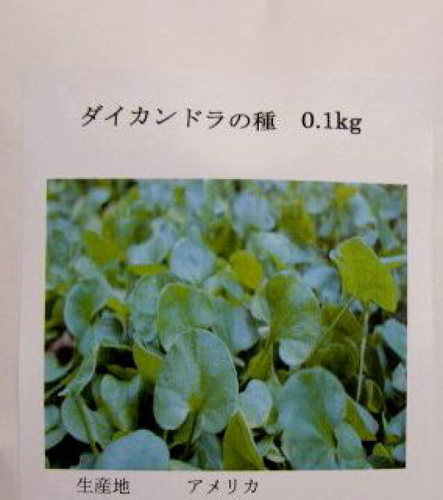 楽天市場 ダイカンドラ種 0 1kg グランドカバー 千草園芸