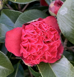 (coL)@gmixj{Nnjmсi{NnjVLj5.5@c