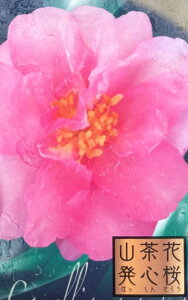 yiőIׂzTUJ@4`4.5c(d03)