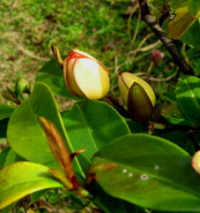 �l�G�炫�I�K�^�}�@5���@�c��